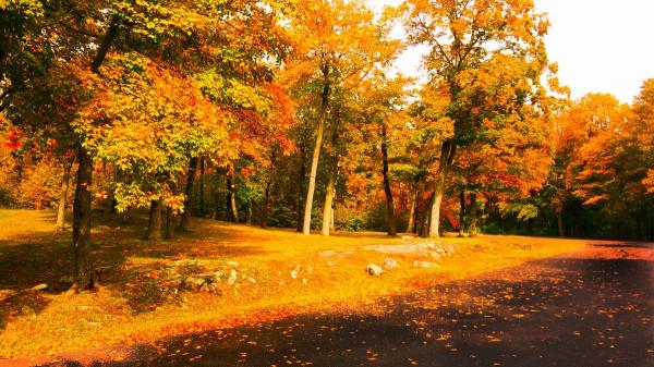 納蘭性德深秋郊遊發出的感嘆,竟是人生大智慧,值得一讀 納蘭性德深秋郊遊發出的感嘆,竟是人生大智慧,值得一讀