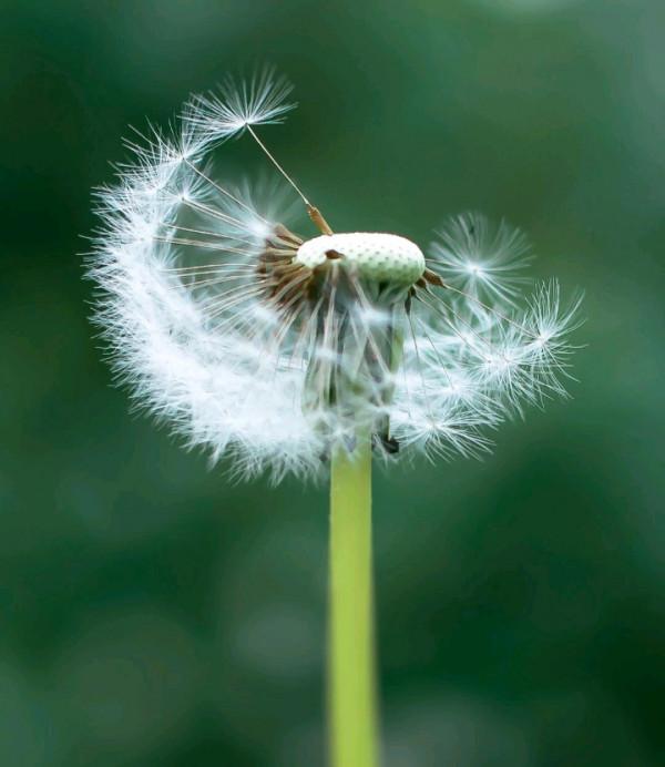 聰明過人，但容易抑鬱的星座：看透了一切，內心卻很孤獨