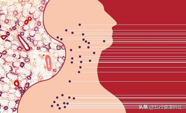 “正氣存內，邪不可幹”，老輩人留下的經驗之談！健脾養肺是根本