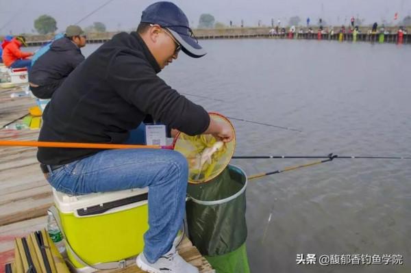 秋天釣魚，天氣變冷，魚口不好，怎樣增強魚口？秋天增強魚口技巧