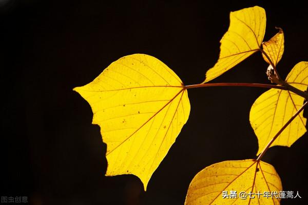 殤，我們真的不知道明天和意外，究竟哪個先來