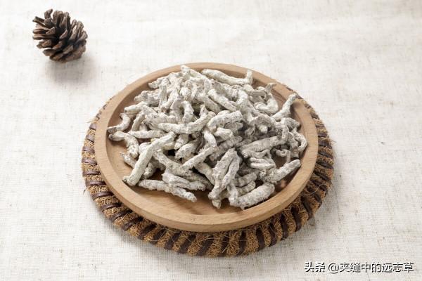 肩周炎，活動受限？送你四味中藥，祛頑痰，通經絡，快來了解下吧