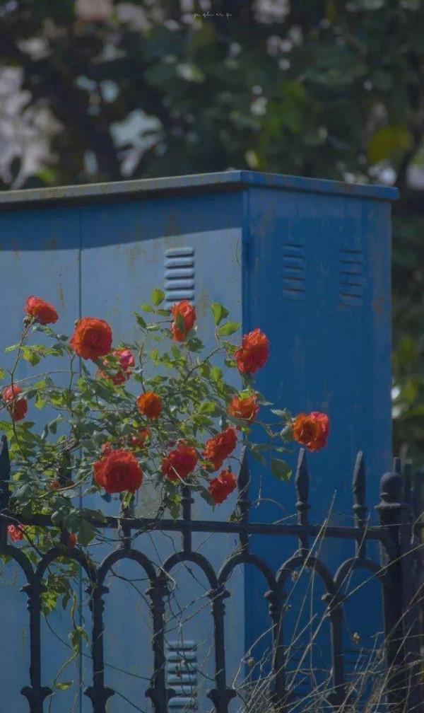 一個人過得好的象徵 一個人過得好的象徵