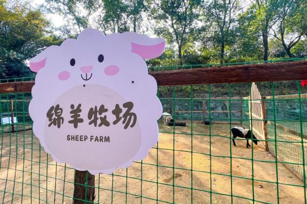 “大武漢”福利大放送！張公山寨門票免費領