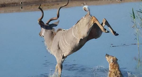看了癌症晚期患者的遺願清單，我才頓悟人活著，最重要的是什麼