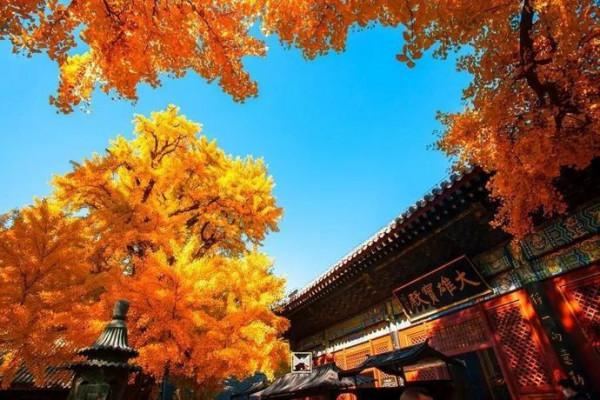 未來一個月,北京周邊的景色將是這樣的—— 未來一個月,北京周邊的景色將是這樣的——