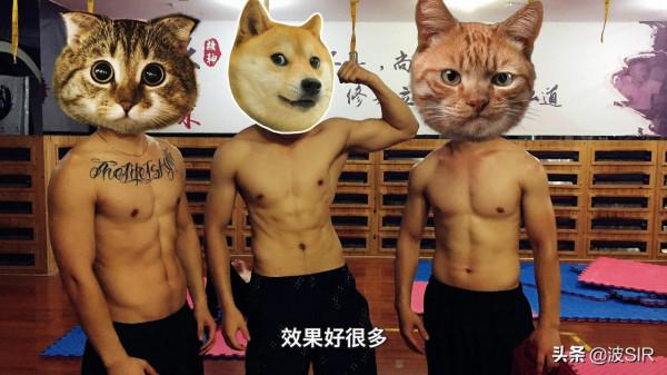 避開誤區，少走彎路，瘦子科學增肌