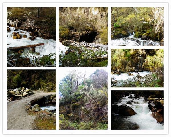 2012年 L-2 彩林之旅-孟屯河谷7老君溝 2012年 L-2 彩林之旅-孟屯河谷7老君溝