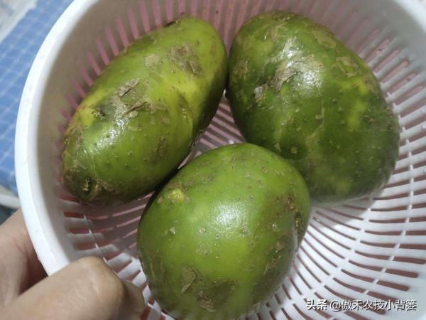 土豆表皮變綠後真的帶毒素嗎?人吃了有害嗎?土豆怎樣吃最安全? 土豆表皮變綠後真的帶毒素嗎?人吃了有害嗎?土豆怎樣吃最安全?