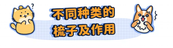 貓狗一直掉毛，兇手竟是我自己？