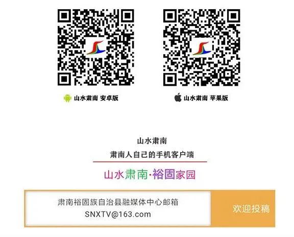 肅南：國家二級野生動物蒼鷺和白天鵝落腳肅南縣城