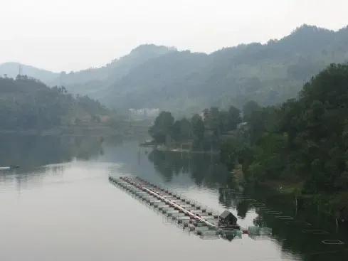 晚清疑案之四：紅樓上的哭聲