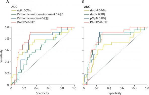 作者解讀 | 人工智慧預測直腸癌新輔助放化療療效：開創整合多模態特徵預測新模式