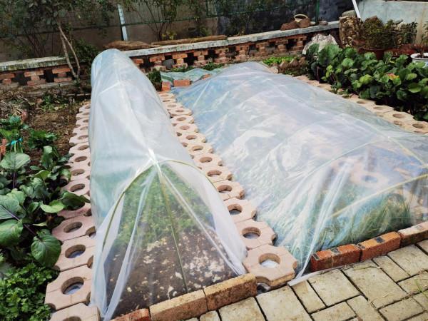 農家小院兩日遊