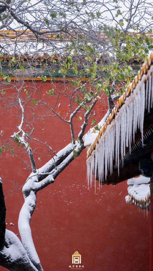 雪後的熱搜,屬於故宮和環球影城…… 雪後的熱搜,屬於故宮和環球影城……