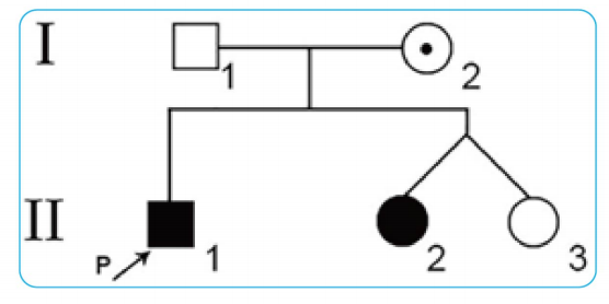 韋翰斯生物分子生物學一站式科研服務，助你科研無憂