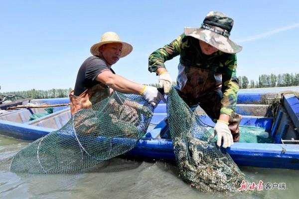看！2500萬人的豐收圖景