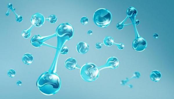 葡萄立功了?中國科學家從葡萄中發現益壽分子,有望延長64.2% 葡萄立功了?中國科學家從葡萄中發現益壽分子,有望延長64.2%