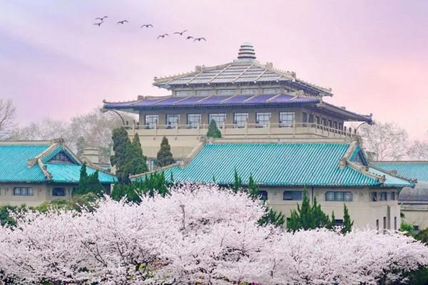 在河南招生人數最多的五所985大學，高三家長請收藏