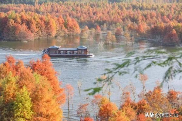 安徽秋遊,五個自駕推薦地|去趕赴秋天的盛會 安徽秋遊,五個自駕推薦地|去趕赴秋天的盛會