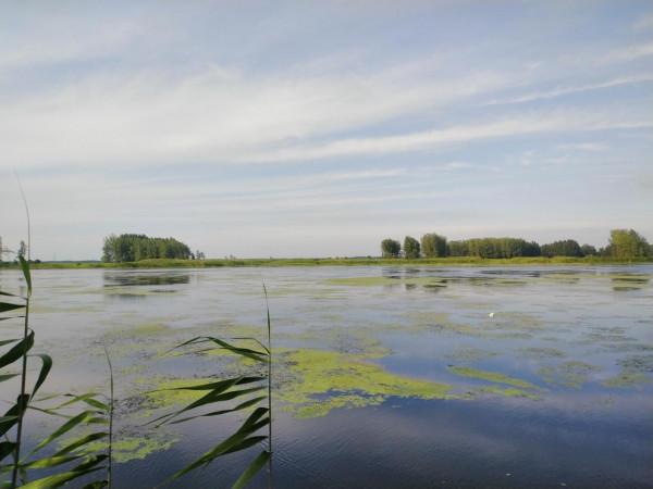 考古新發現，鎬京遺址道路及車轍遺蹟，它們通向何方？來自哪裡？