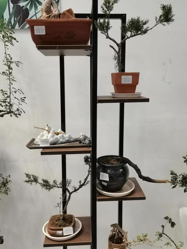 北京世園公園中國館