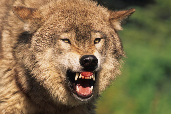 遇到不公平時，告訴自己：我不服