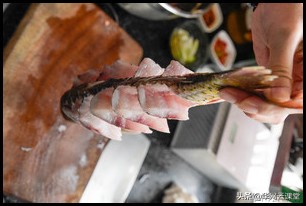 魚躍龍門製作教程