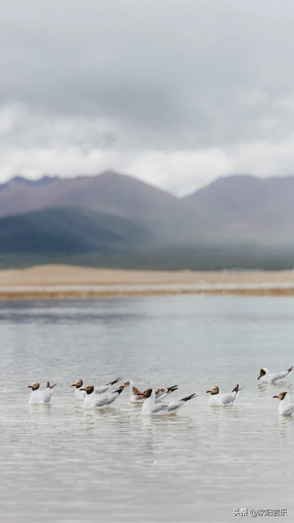 冬季來西藏怎麼玩？最全旅行攻略，開啟你對它的誤解