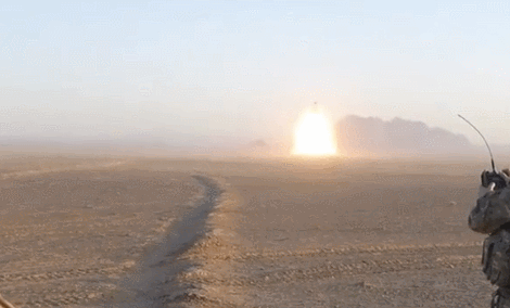 30張活久見的照片，消防員給昏迷的狗做人工呼吸，猩猩戴墨鏡耍酷