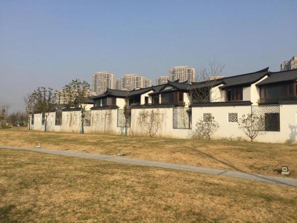 天氣好，出來轉轉，呼吸新年的空氣