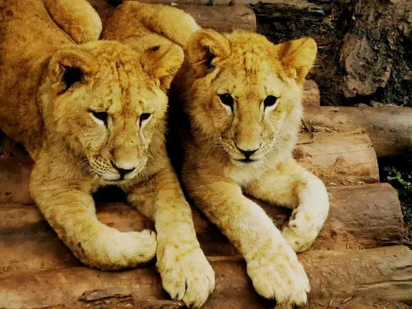 元旦最強攻略出爐！小眾美景、愜意度假、全家出遊都有，拿走去耍