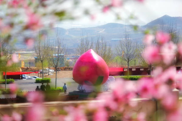 盤點2021年那些驚豔了時光的照片--王母山