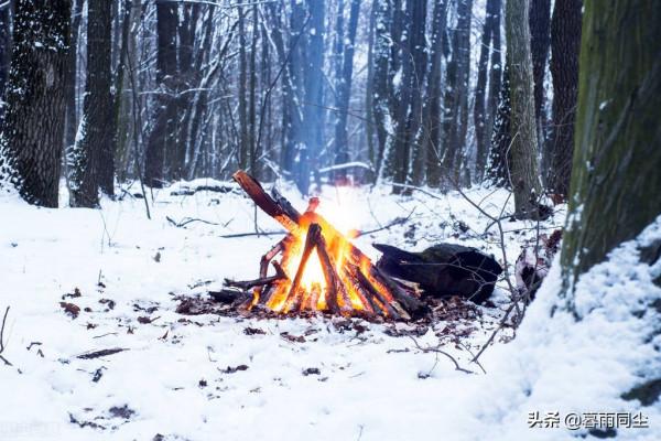 不要相信關於野外生存的神話，22個大錯特錯能讓你喪命的求生誤區