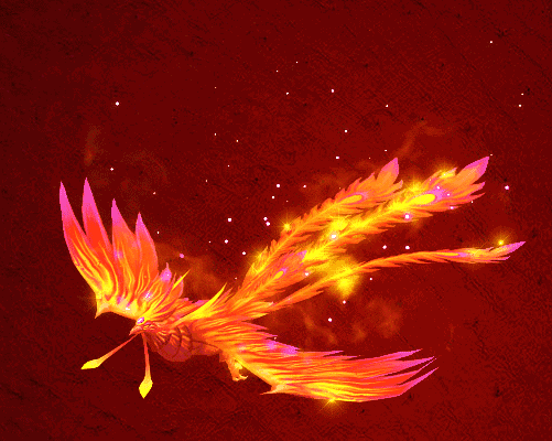 人生最美幾何時 看見孔雀和鳳凰 雙福來襲