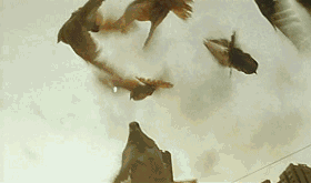 巔峰時突然隱退的10位明星：有人2次出家，有人如“人間蒸發”