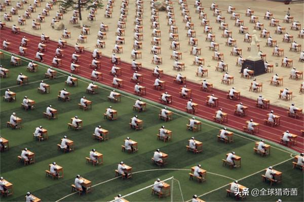 35張“活久見”的完美圖片，強迫症瞬間被治癒了