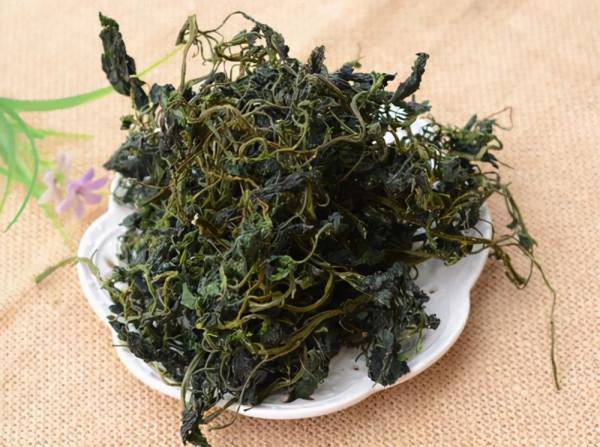 農村遍地都是的“灰菜”也是一種藥，晾乾有4種作用