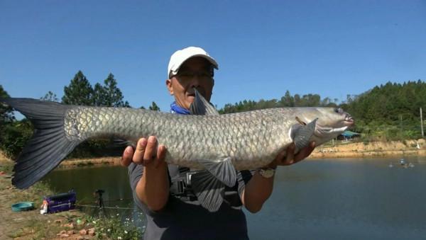 野釣，為什麼很多人喜歡釣大魚，卻很少人能釣到呢？