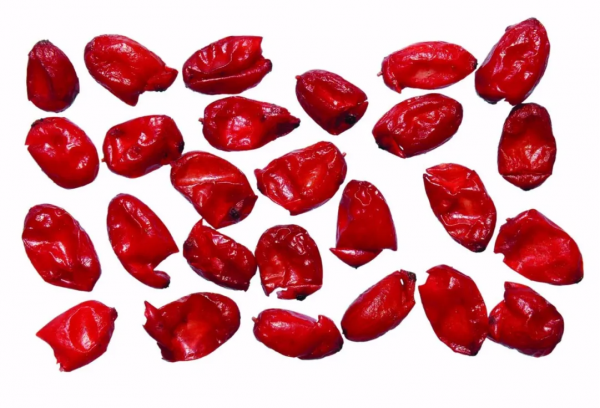 重陽佳節話茱萸 重陽佳節話茱萸