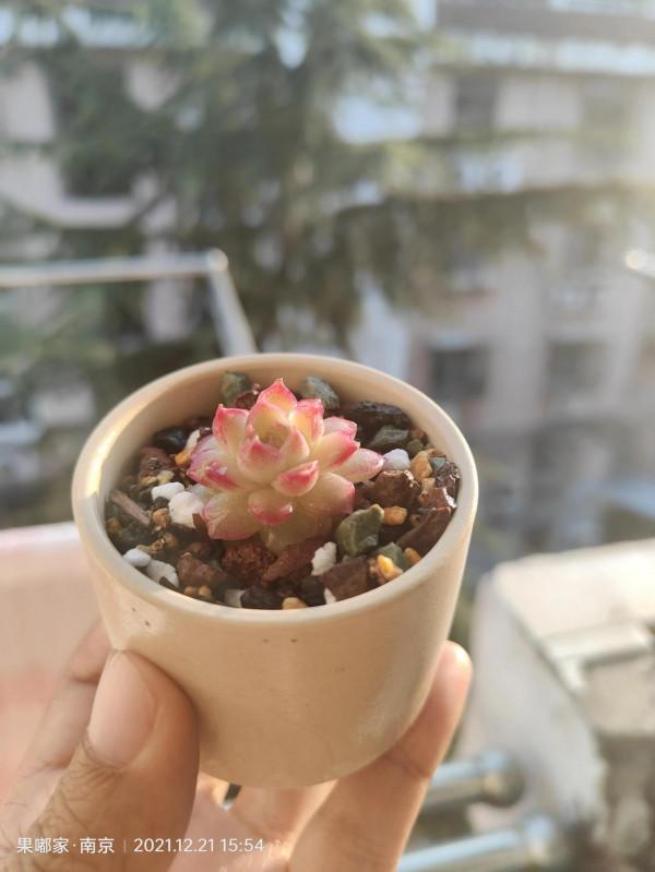 最近降溫，大家注意保暖哦