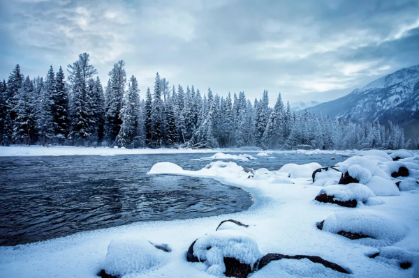 兩年以前，我們說走就能走，可以去任何想去的地方