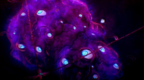 《鬼滅之刃 火神血風譚》第3彈免費更新現已推出