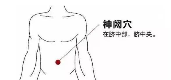 肚臍神闕在什麼位置？作用有哪些？