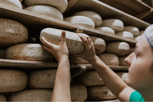 從濱海勝地到舒適山區,4個絕佳目的地開啟大溫短途車程之旅 從濱海勝地到舒適山區,4個絕佳目的地開啟大溫短途車程之旅