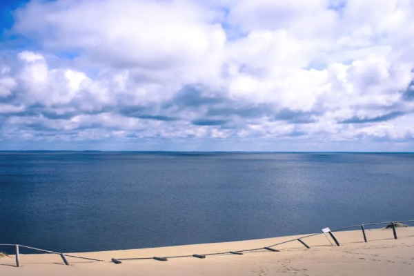 白日夢、冥想、睡眠的重要性 |《自驅型成長》 白日夢、冥想、睡眠的重要性 |《自驅型成長》