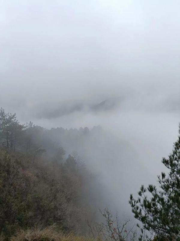 深山的美麗風景