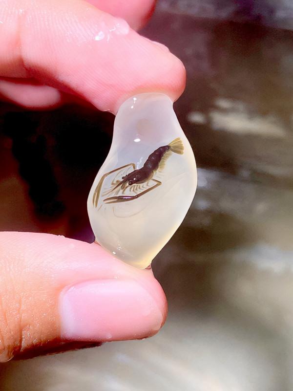 “尋找自我”——陳宗藝玉雕個展開幕