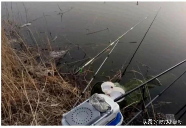 冬季釣魚，死守不是辦法，在這幾點及時做出改變，魚獲翻倍