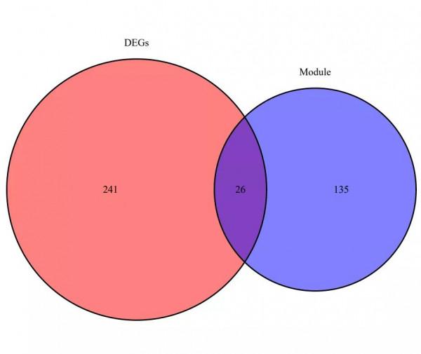 其實,非腫瘤純生信可以這樣進行創新發表 其實,非腫瘤純生信可以這樣進行創新發表